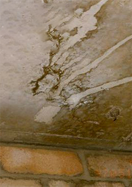 best waterproofing for terrace and cracks