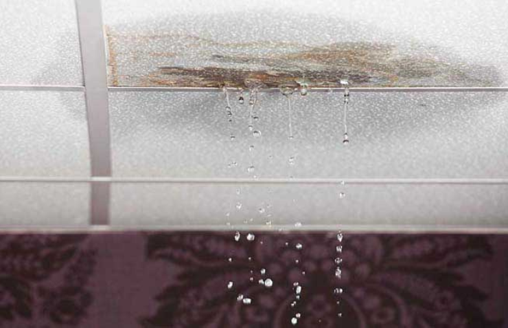 Best Waterproofing Company in Hyderabad
