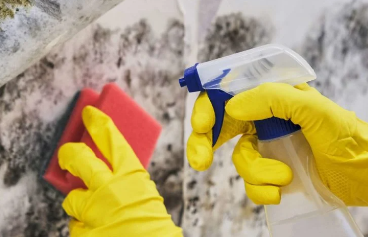 Best Waterproofing for Roof
                